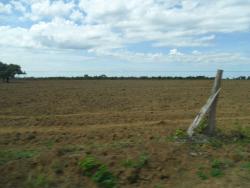 Fazenda para Venda em Araguacema - 1