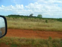 #51 - Fazenda para Venda em Araguacema - TO - 3