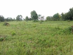 Fazenda para Venda em Peixe - 2