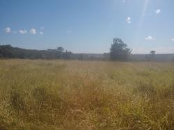 Fazenda para Venda em Peixe - 3