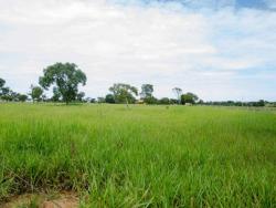 Fazenda para Venda em Peixe - 5