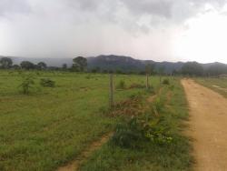 #53 - Fazenda para Venda em Niquelândia - GO - 3