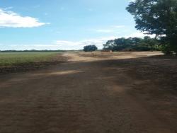 #56 - Fazenda para Venda em Bom Jesus - PI - 1