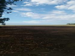 #56 - Fazenda para Venda em Bom Jesus - PI - 2