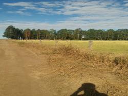 Fazenda para Venda em Bom Jesus - 4