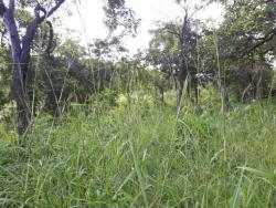 Fazenda para Venda em Bonópolis - 2