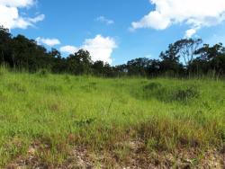 Fazenda para Venda em Bonópolis - 3