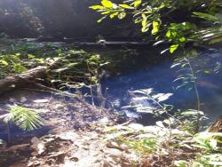 Fazenda para Venda em Bonópolis - 5