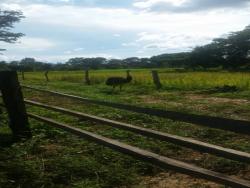 Fazenda para Venda em Grajaú - 1