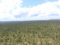 Fazenda para Venda em Grajaú - 2