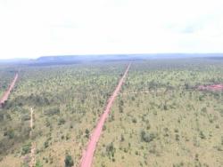 Fazenda para Venda em Grajaú - 3