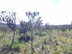 Fazenda para Venda em Grajaú - 5