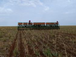 #60 - Fazenda para Venda em Bom Jesus - PI - 3