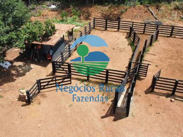 #310 - Fazenda para Venda em Santa Cruz de Goiás - GO - 2