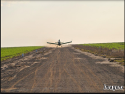 Fazenda para Venda em Palmeira do Piauí - 2