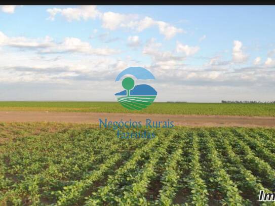 Fazenda para Venda em Palmeira do Piauí - 3