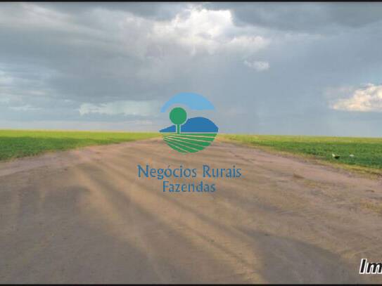 Fazenda para Venda em Palmeira do Piauí - 4