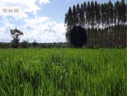 Fazenda para Venda em Belém - 1