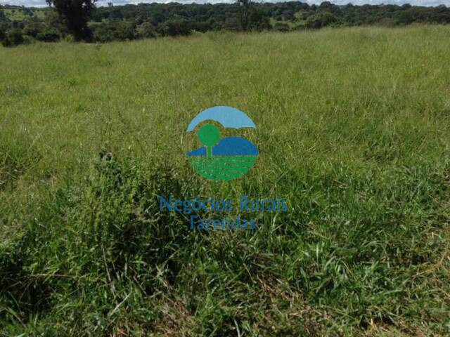 Área para Venda em Goiânia - 3