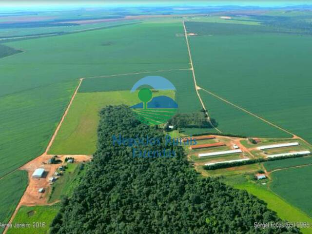 #63 - Fazenda para Venda em Cuiabá - MT