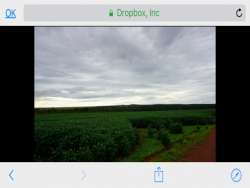 #63 - Fazenda para Venda em Cuiabá - MT - 3