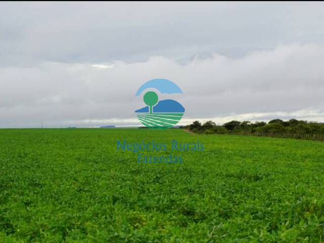 Fazenda para Venda em Cuiabá - 5