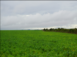 Fazenda para Venda em Cuiabá - 5