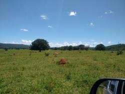 Fazenda para Venda em Cocalzinho de Goiás - 3