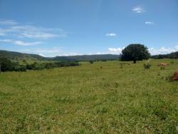 Fazenda para Venda em Cocalzinho de Goiás - 4