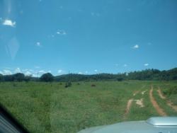 Fazenda para Venda em Cocalzinho de Goiás - 5