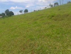 Fazenda para Venda em Cocalzinho de Goiás - 1