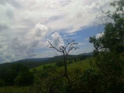 #65 - Fazenda para Venda em Cocalzinho de Goiás - GO - 2