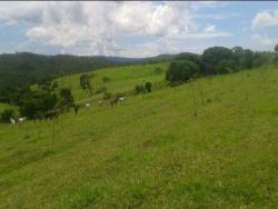 Fazenda para Venda em Cocalzinho de Goiás - 4