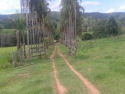 #66 - Fazenda para Venda em Cocalzinho de Goiás - GO - 1