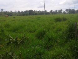 Fazenda para Venda em Cocalzinho de Goiás - 3