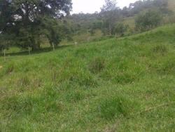 Fazenda para Venda em Cocalzinho de Goiás - 4