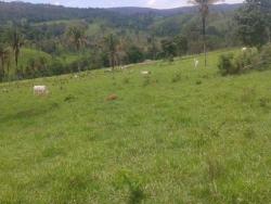 Fazenda para Venda em Cocalzinho de Goiás - 5