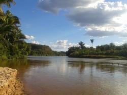 Fazenda para Venda em Ribeiro Gonçalves - 1