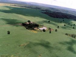 #68 - Fazenda para Venda em Ribeiro Gonçalves - PI - 2