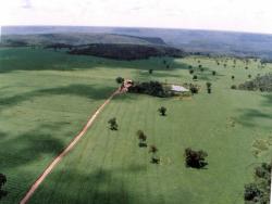 Fazenda para Venda em Ribeiro Gonçalves - 3