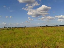 Fazenda para Venda em Ribeiro Gonçalves - 5