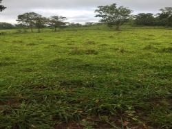 Fazenda para Venda em Niquelândia - 1