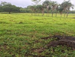 #70 - Fazenda para Venda em Niquelândia - GO - 3