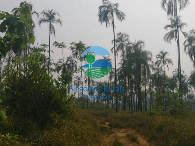 Fazenda para Venda em Niquelândia - 1