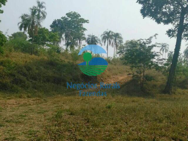 Fazenda para Venda em Niquelândia - 4