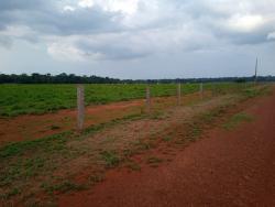 Fazenda para Venda em Uruaçu - 2