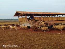 Fazenda para Venda em Uruaçu - 5