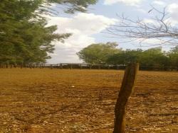 Fazenda para Venda em Niquelândia - 2