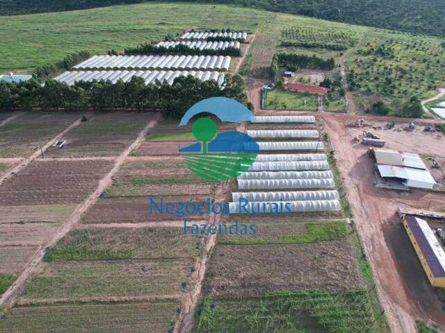 #481 - Fazenda para Venda em Uruaçu - GO - 2