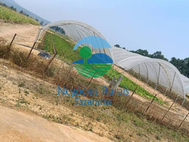 #481 - Fazenda para Venda em Uruaçu - GO - 3
